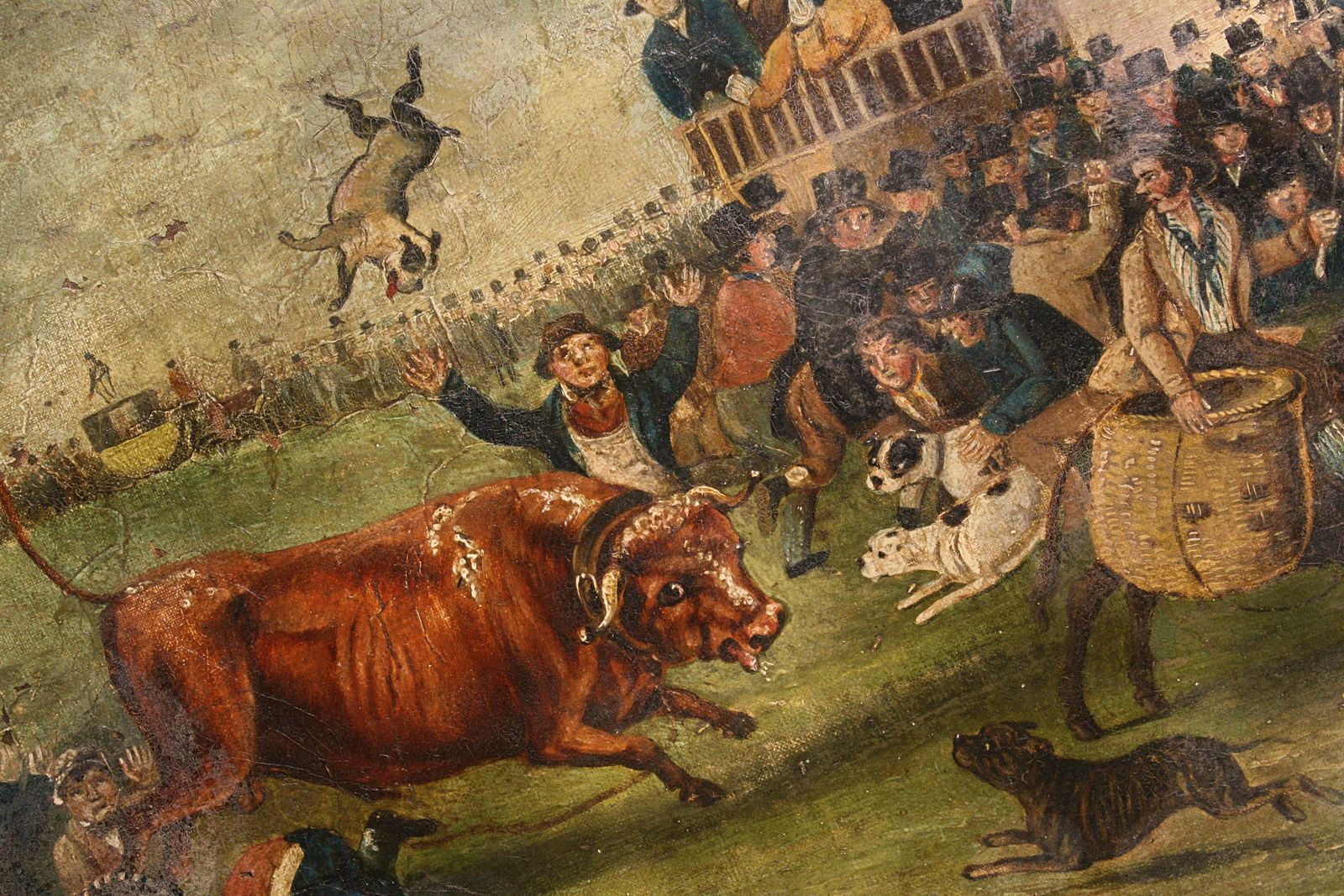 Late Naive English School "Bull Broke Loose" Bull Baiting Oil On Canvas photo for sale