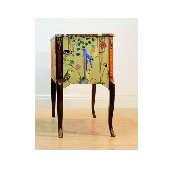 Classic Gustavian Louis XV Style Chest With Christian Lacroix Design photo furniture