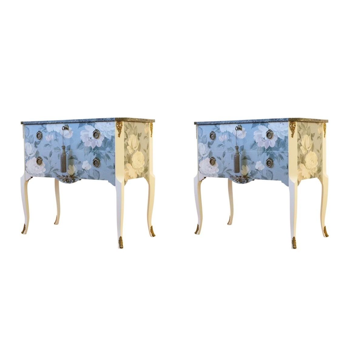 photo furniture Classic Gustavian Louis XV Style Chests With Floral Pattern