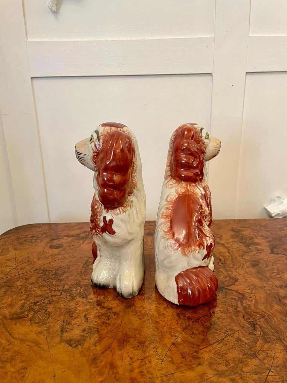 Pair Of Antique Victorian Staffordshire Dogs photo Art