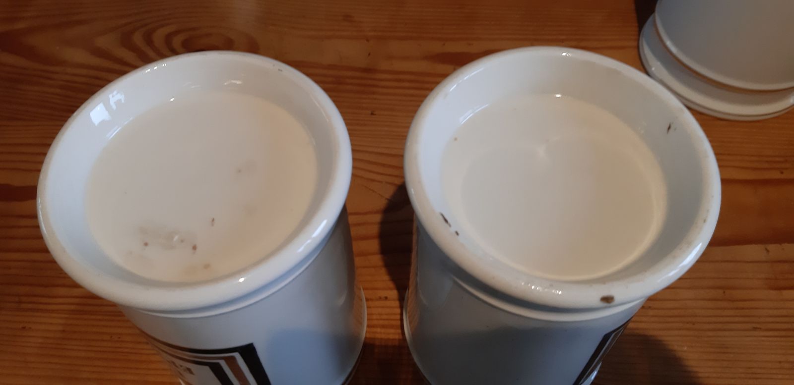Paire De Pots A Pharmacie En Porcelaine 19 ème photo vinterior