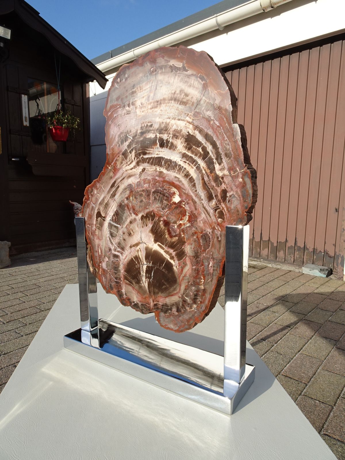 Large Vintage Fossil Petrified Wood Sculpture On Chrome Base 1970s In The Manner Of Ado Chale photo vinterior