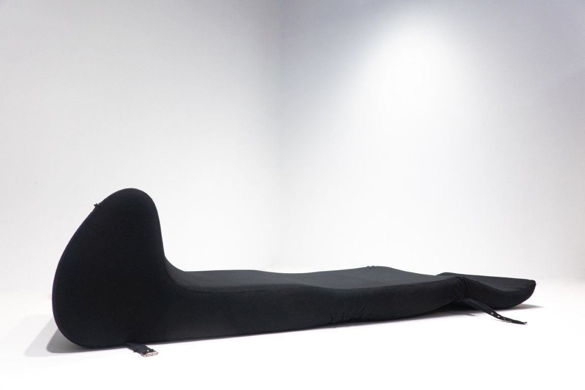 photo for sale Sofa Bed By Umberto Catalano And Gianfranco Masi