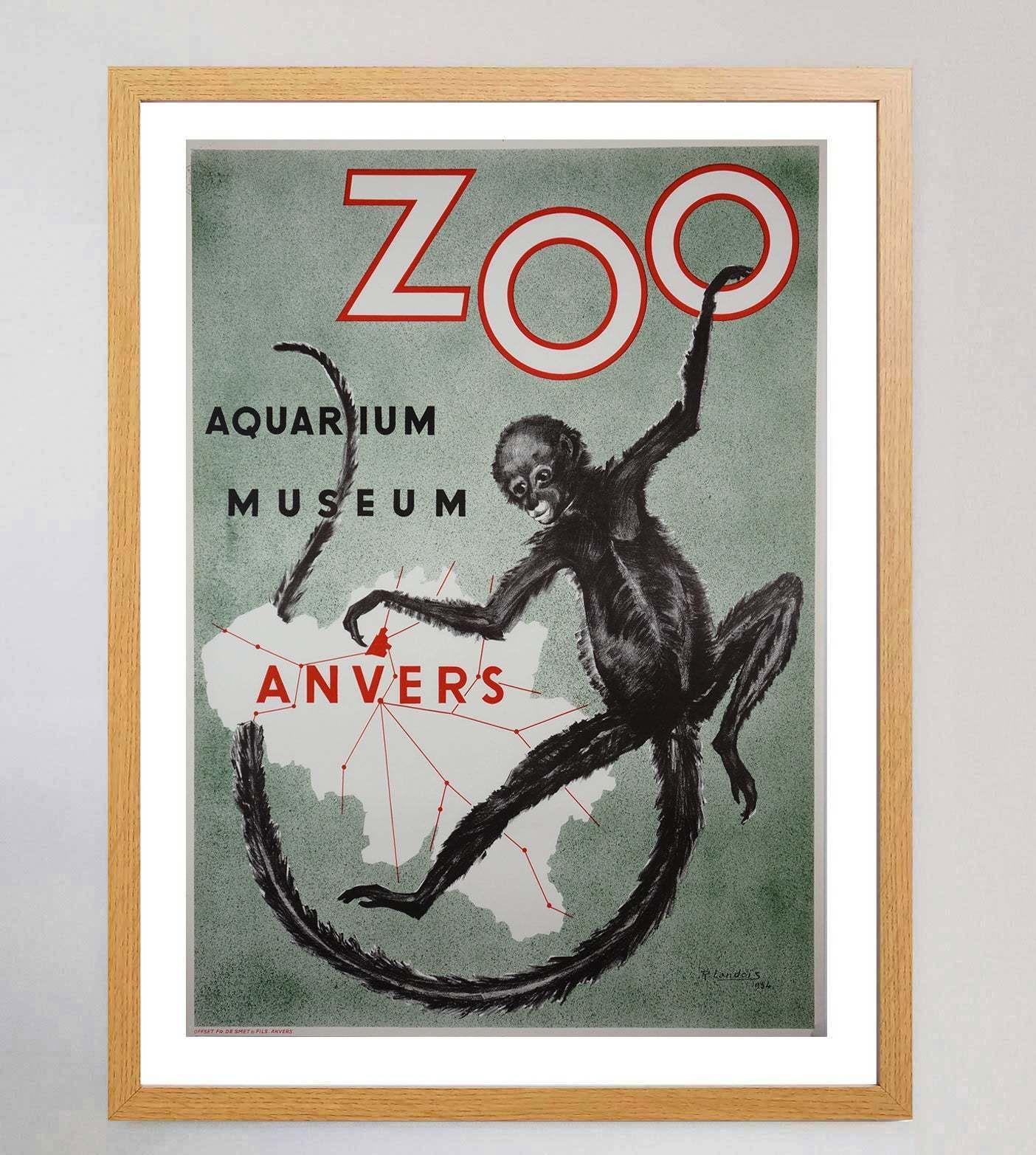 Antwerp Zoo Monkey Original Vintage Poster photo Art