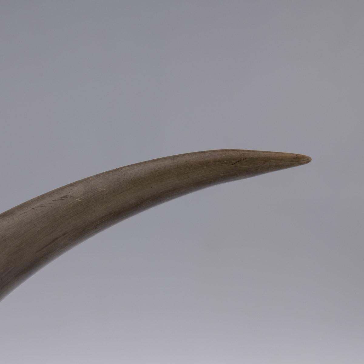 photo vintage 19th Century Scottish Horn, Banded Agate & Solid Silver Table Snuff Mull, C.1870