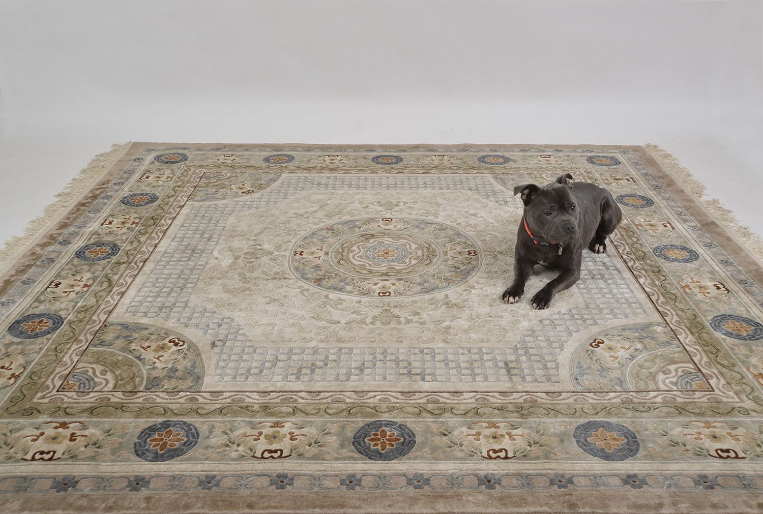 photo for sale Large Oriental 20th Century Chinese  Silk Rug Cream Green Blue Rust Lotus Flowers