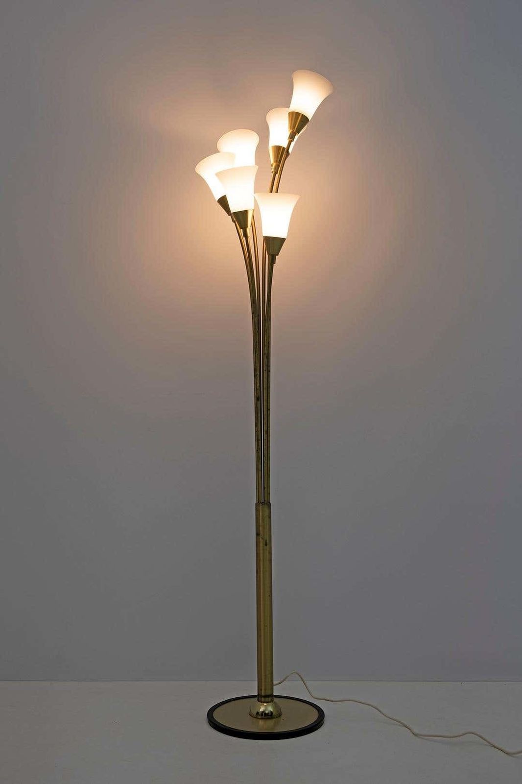 photo for sale Mid Century Modern Italian Opaline Glass And Gilt Brass Tulip Floor Lamp, 60s