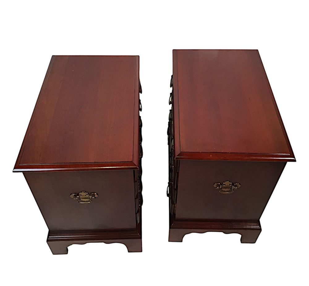 A Gorgeous Pair Of 20th Century Bedside Chests In The Georgian Manner photo 1839.1093
