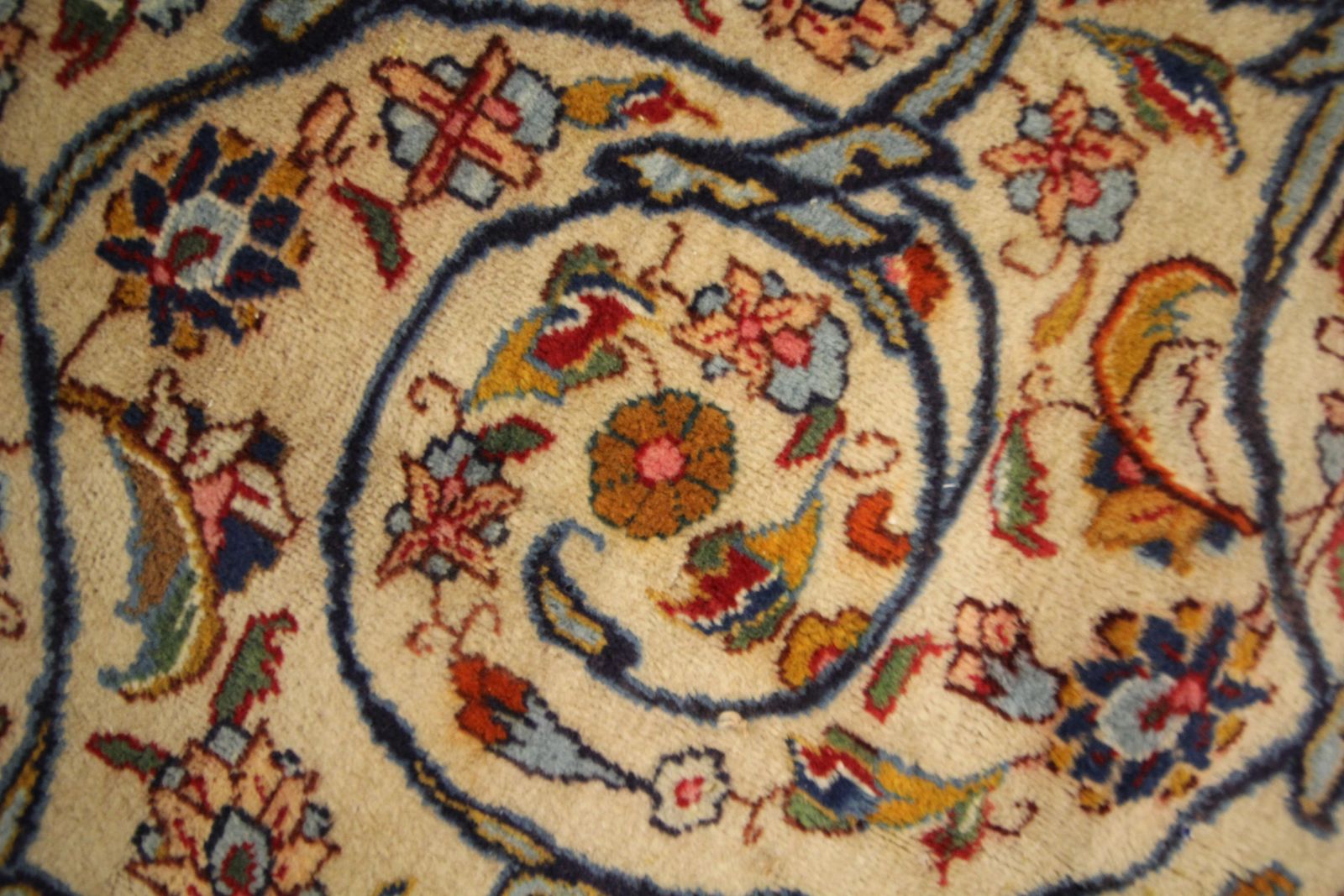 Handwoven Oriental Area Rug Traditional Ivory Living Room Rug  290x390cm photo buy