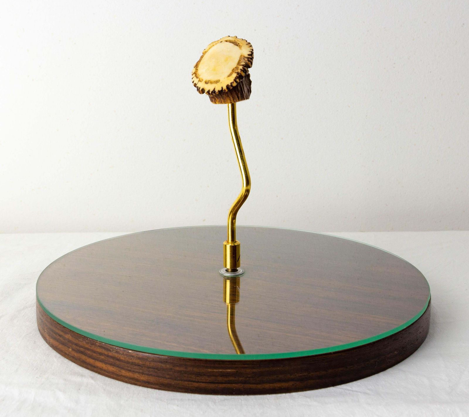 Frans walnoten kaasplateau – Mid-Century photo Woonaccessoires