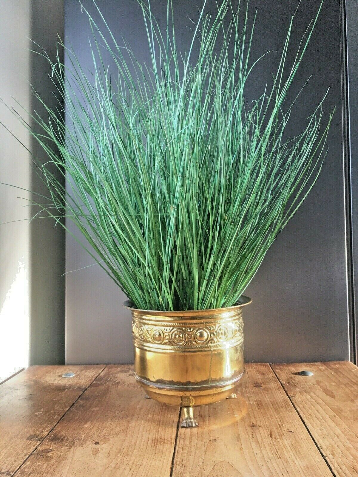 photo furniture Vintage Brass Floral Rosettes Lions Foot Planter Flower Plant Pot Boho Antique