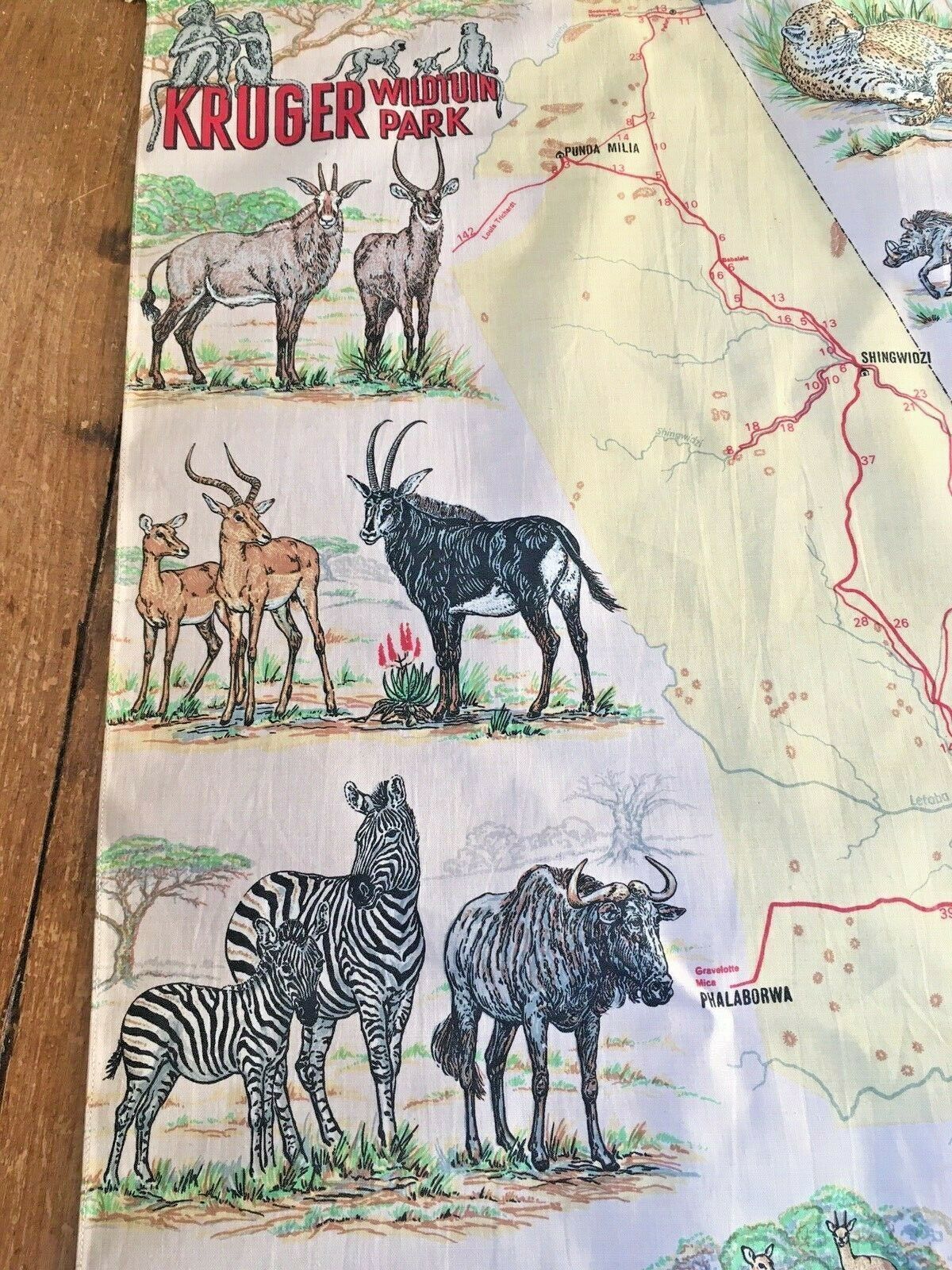 Rare 1970's Kruger Wildtuin Park Safari Map South Africa Wall Art Hanging Poster photo 150.0