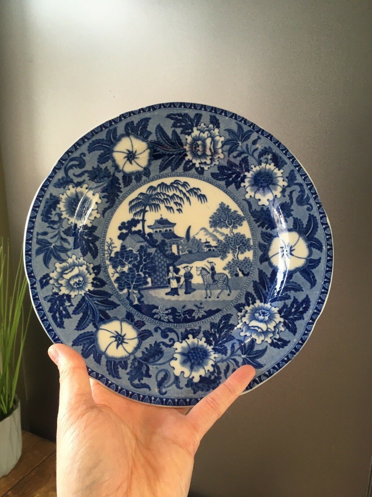 Antique C1825 29 Toft & May Zebra Pattern Blue & White Pearlware Plate Roger photo buy