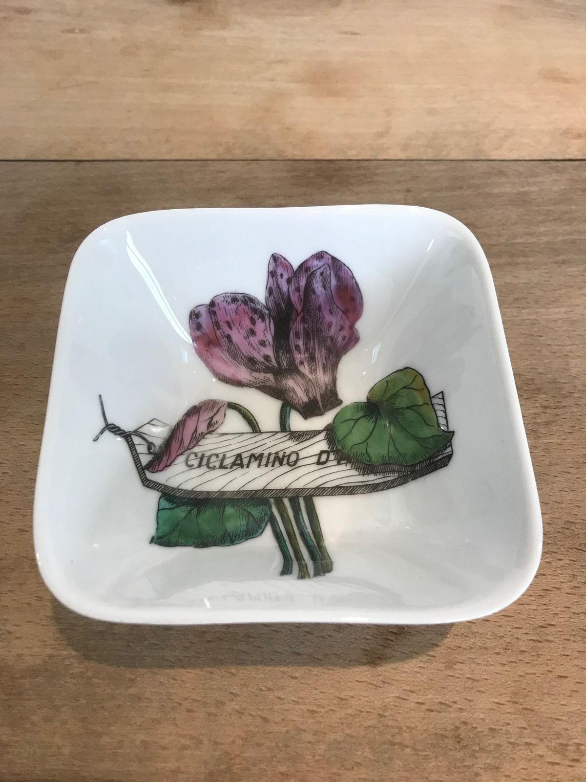 Super Rare Set Of Four Mid Century Modern Piero Fornasetti Botanica Pratica Porcelain Square Hors D'oeuvres Bowls Or Dishes photo 1000.0