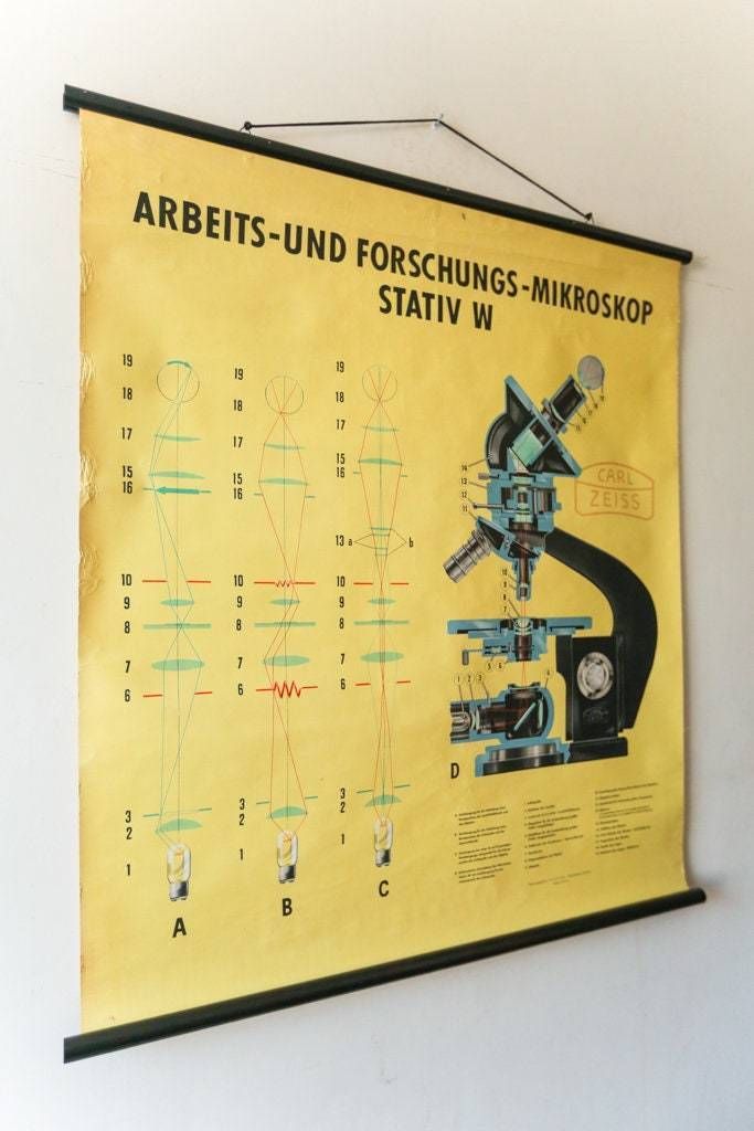 Original Scientific Technical Vintage German School Wall Chart Carl Zeiss Microscope Industrial Rare Eductional photo furniture