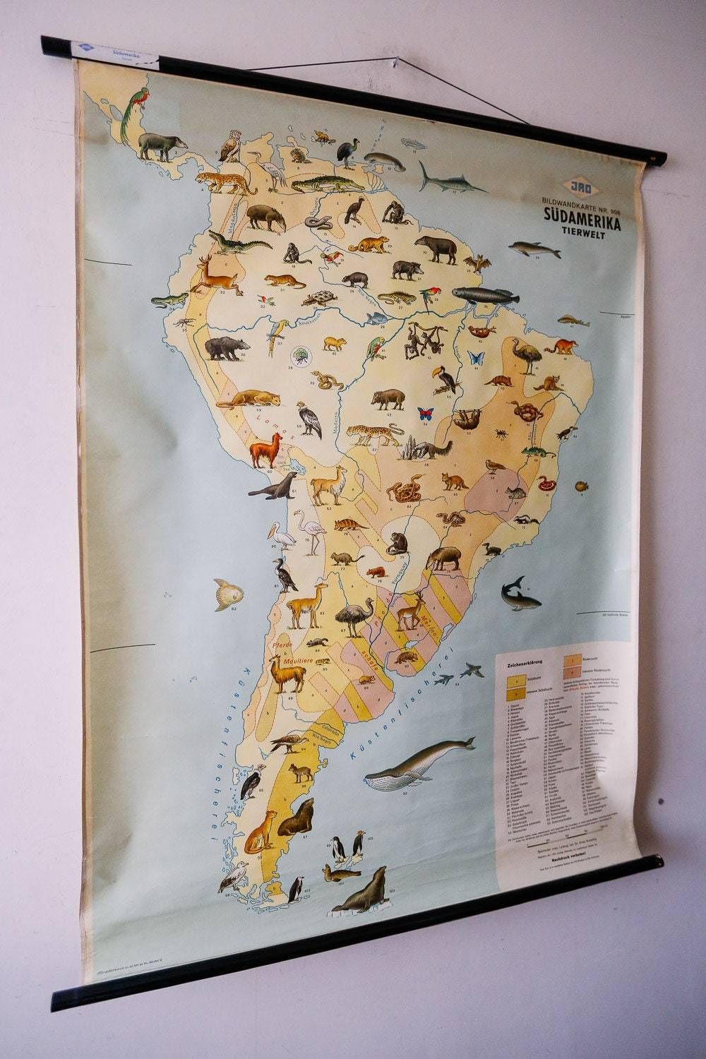 Original Vintage Mid Century German Educational School Wall Chart South America Map Land Use Wildlife Rare Jro photo furniture