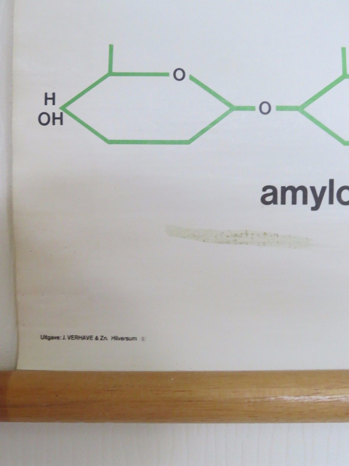Vintage Roll Down Medical School Biochemistry Chart Of Carbohydrates Structure photo Art
