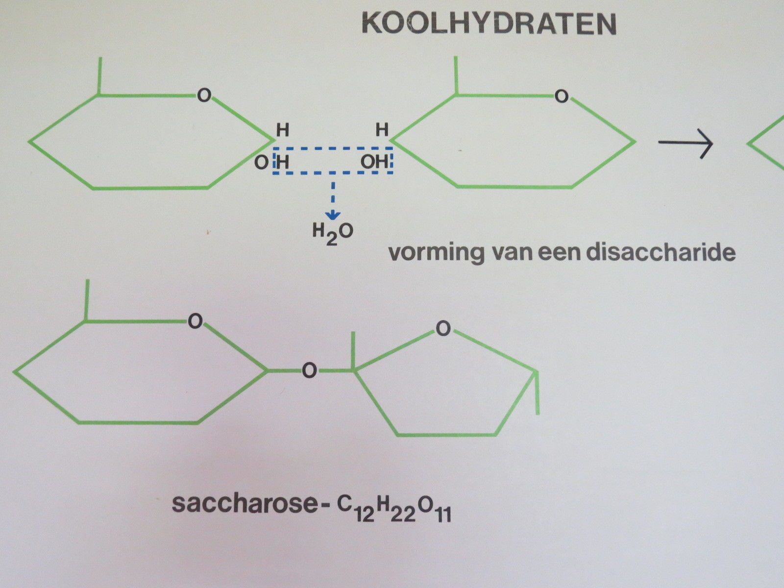 photo for sale Vintage Roll Down Medical School Biochemistry Chart Of Carbohydrates Structure