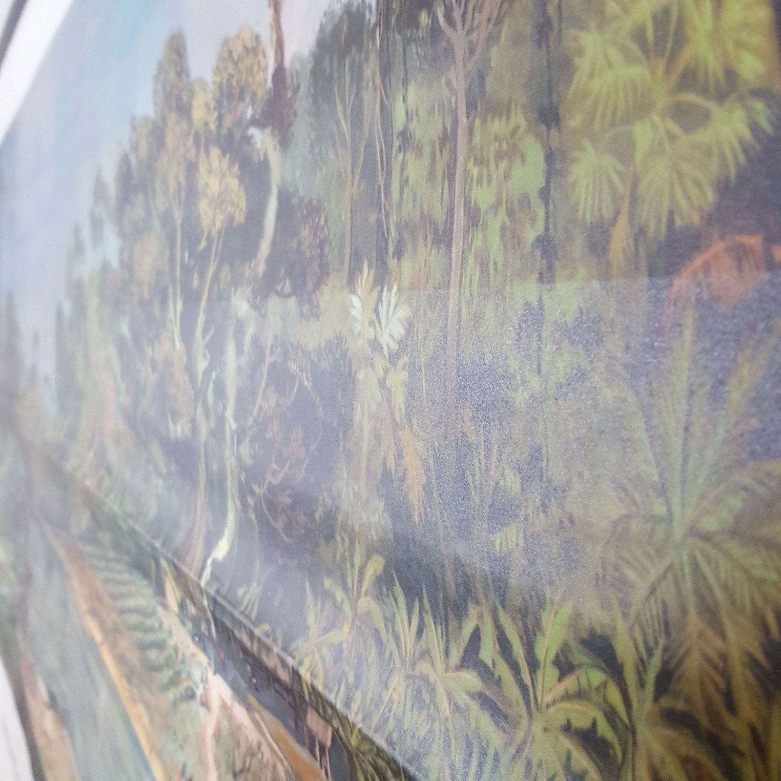 Large Vintage Classroom Wall Hanging Of The Tropical Rainforest Congo photo vinterior