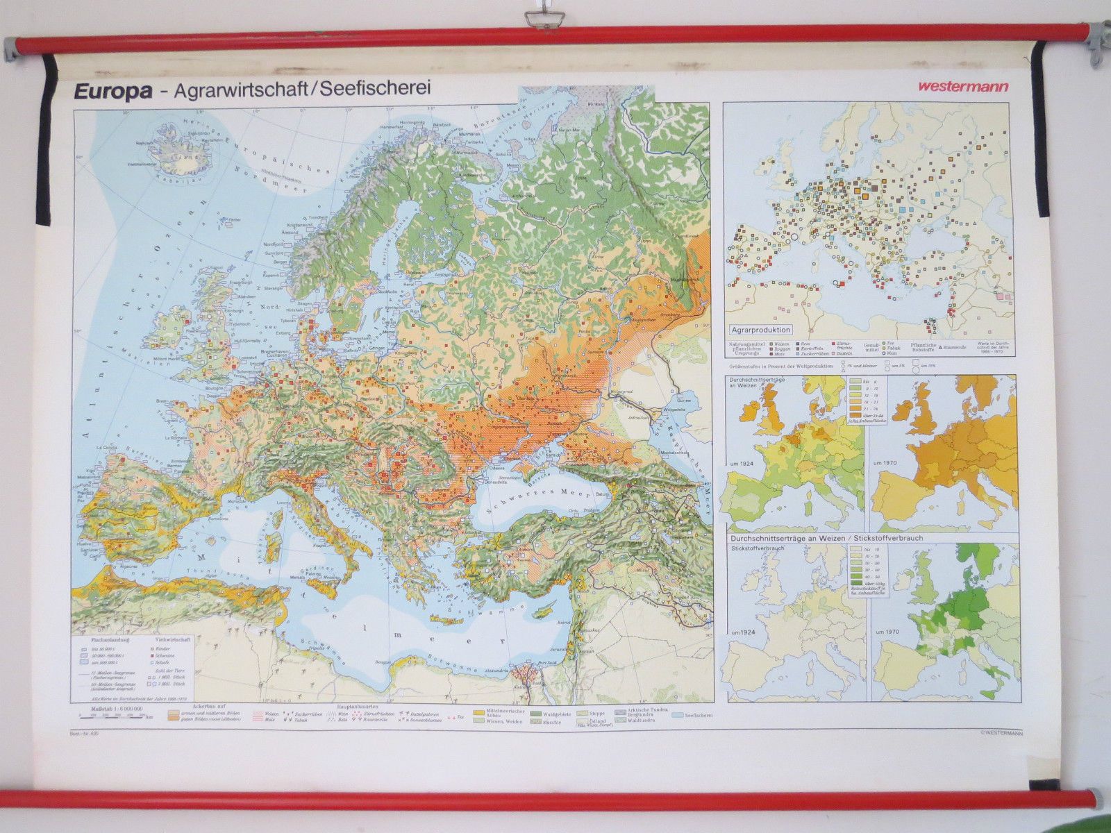 Vintage Pull Down Geographical School Wall Map Of Europe Agriculture Crops photo furniture