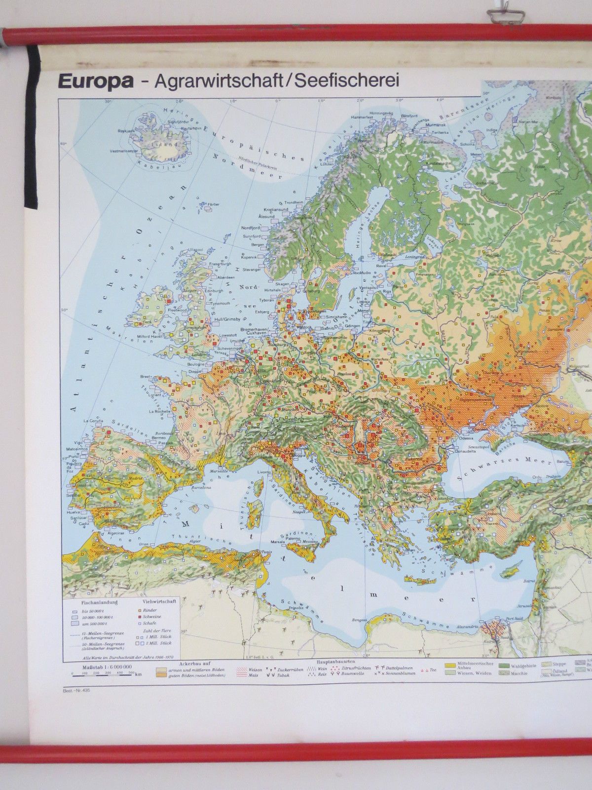 Vintage Pull Down Geographical School Wall Map Of Europe Agriculture Crops photo 83.0