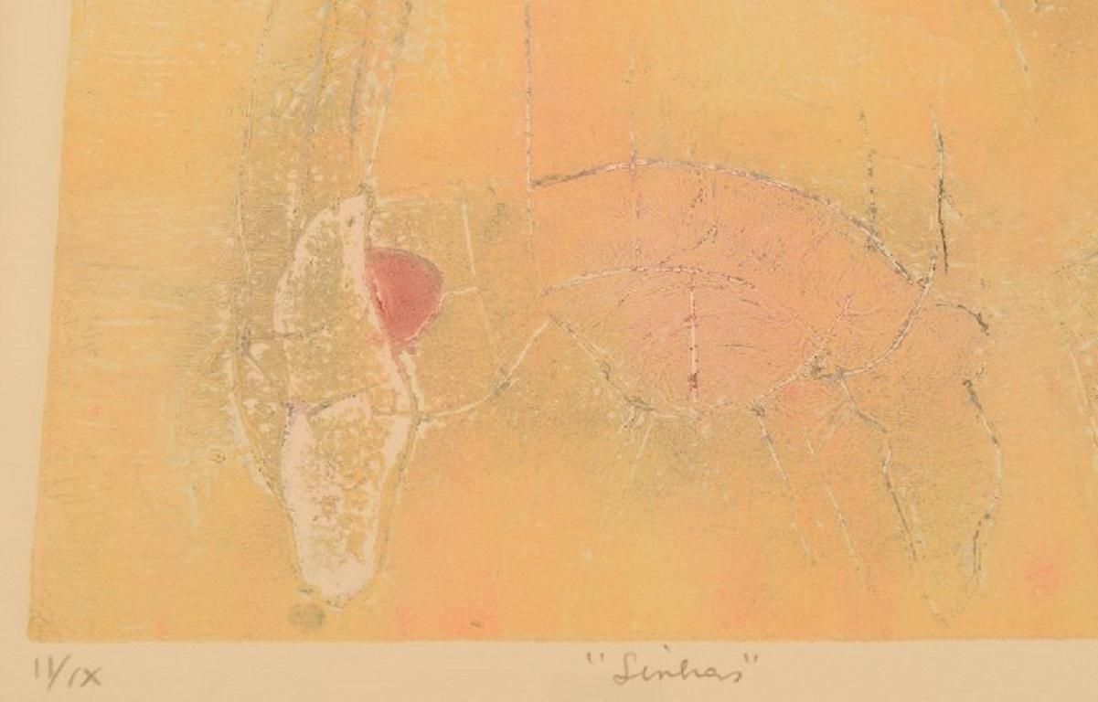 Selma Daffre  Listed Brazilian Artist  Collograph On Paper  Linhas photo for sale