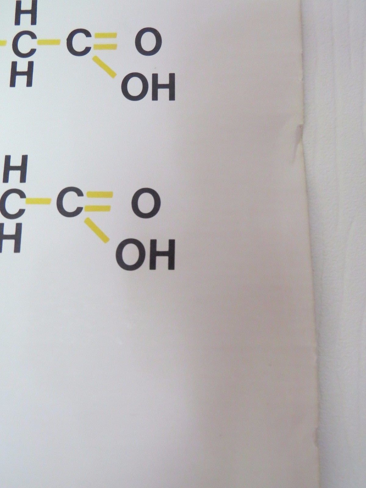 Vintage Roll Down Medical School Biochemistry Chart Of The Structure Of Fats photo buy