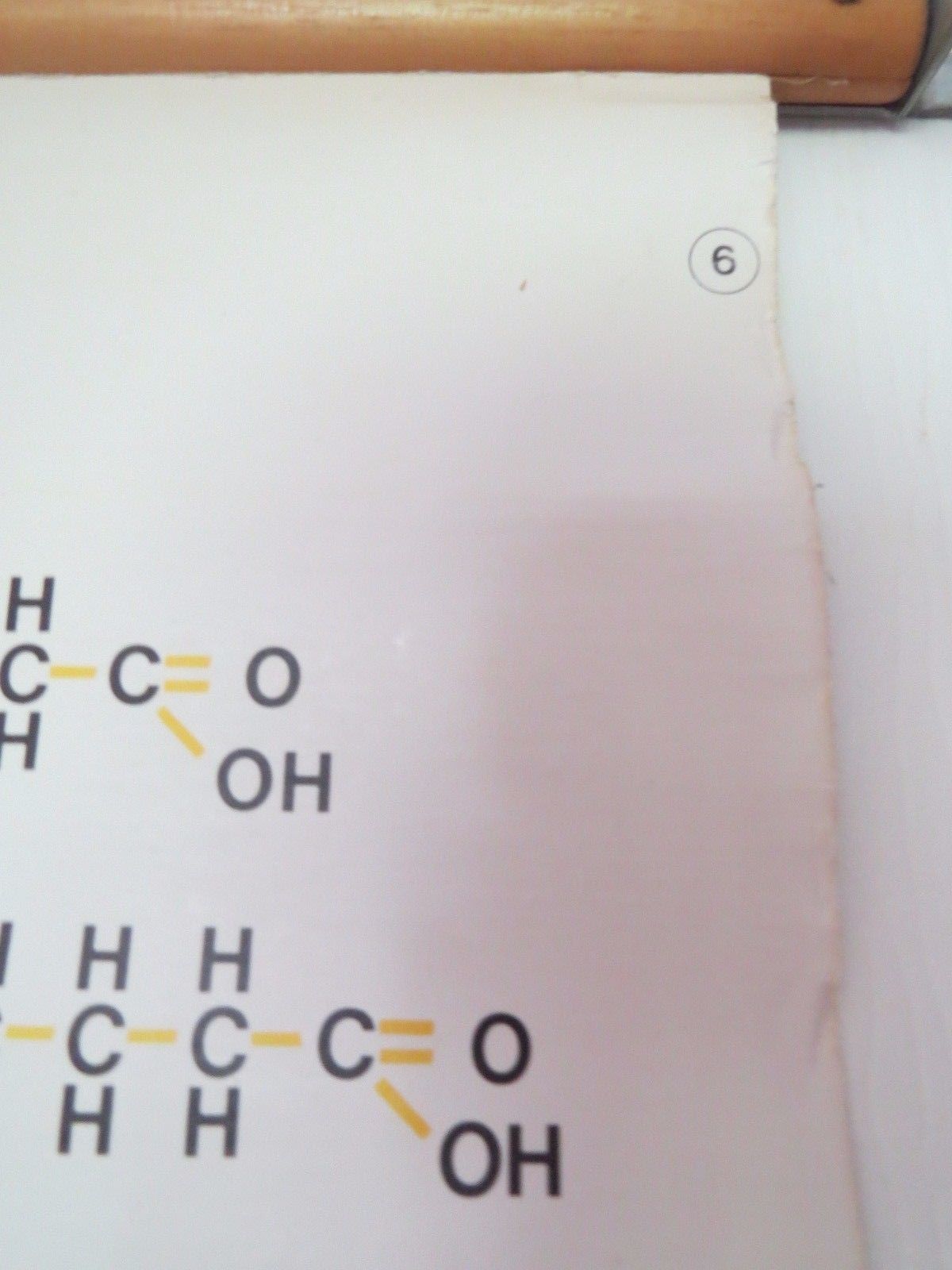 Vintage Roll Down Medical School Biochemistry Chart Of The Structure Of Fats photo vintage