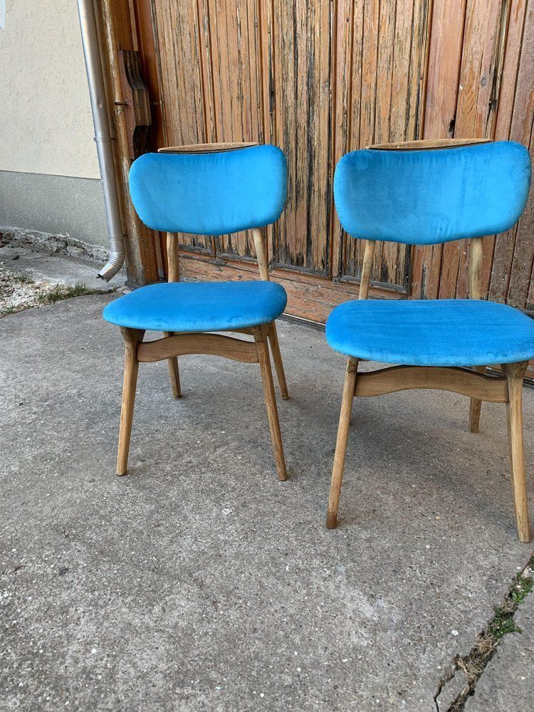 Mid Century Hungarian Chairs, 1960s, Set Of 2 photo Furniture