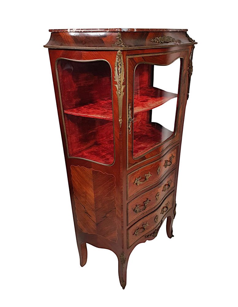 A Fine French 19th Century Serpentine Marble Top Display Cabinet photo furniture
