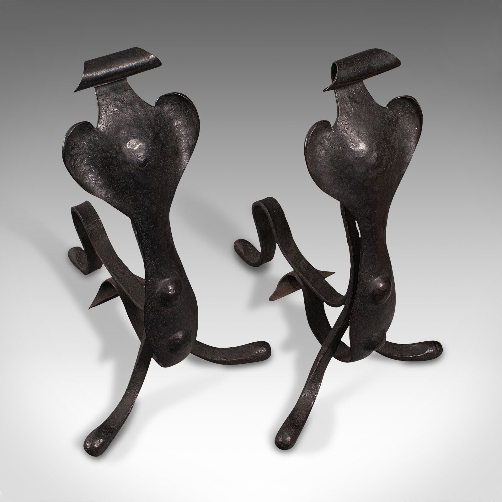 1195.0 Pair Of Antique Fireside Tool Rests, English, Fire Dog photo