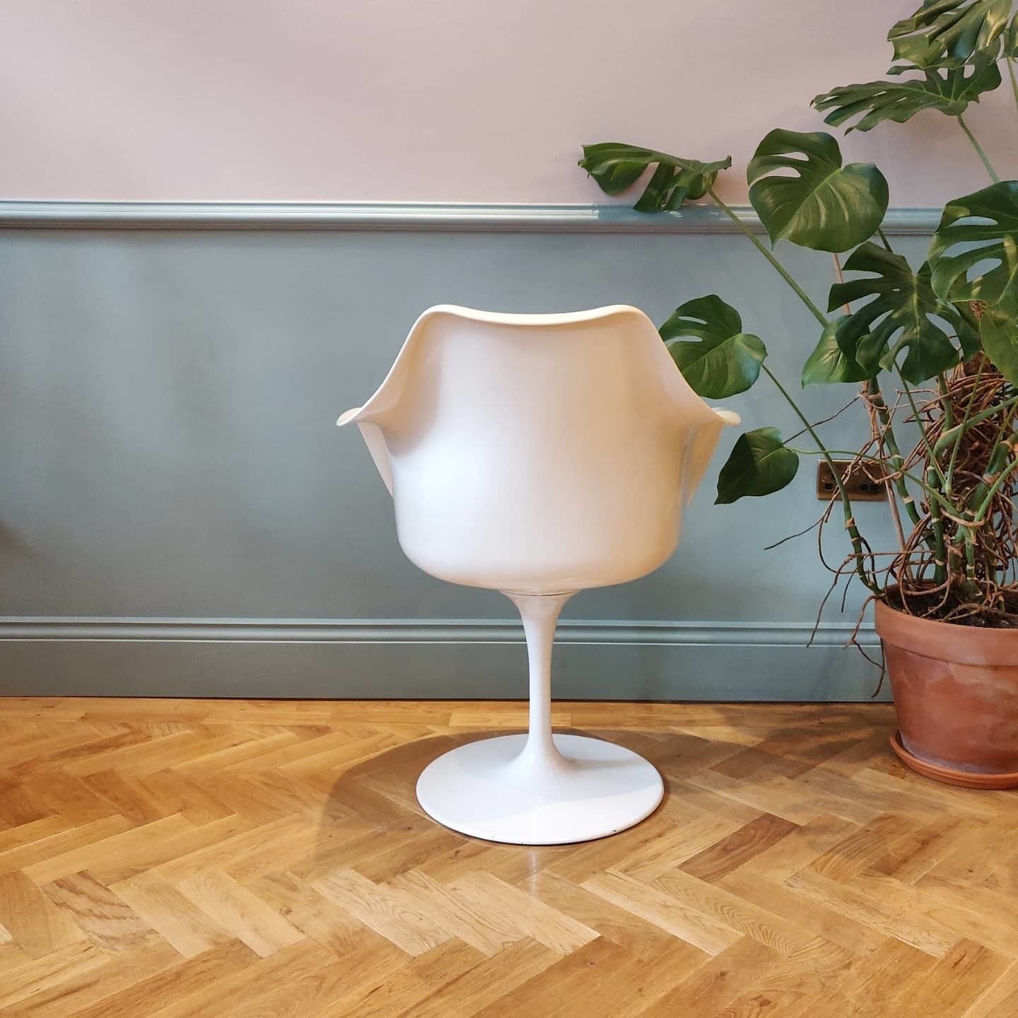 Mid 20th Century Rudi Bonzanini Tulip Chair photo for sale
