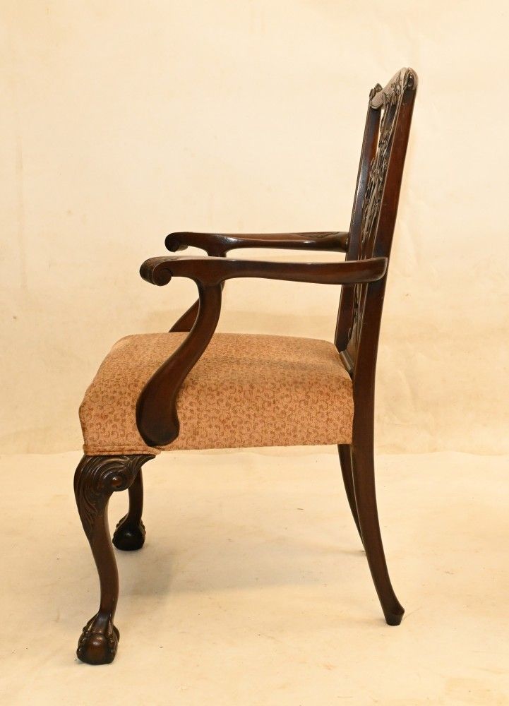 Set Gothic Chippendale Dining Chairs Mahogany Antique 1890 photo vinterior