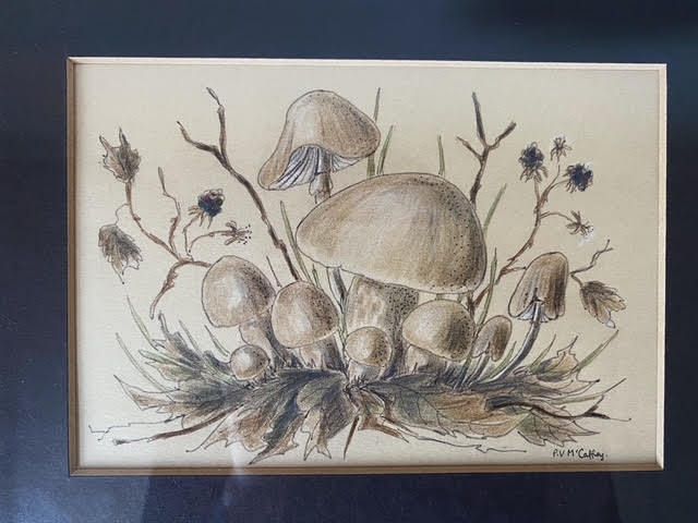 Trio Of Coloured Mushroom Drawings photo for sale