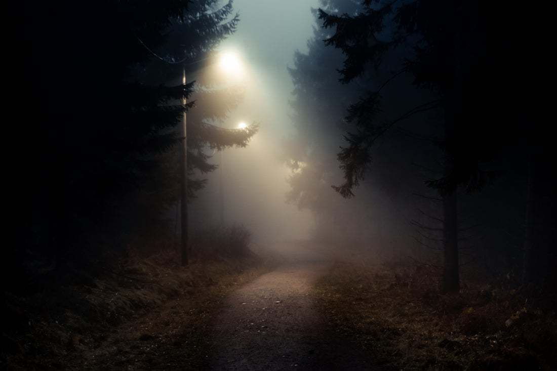 "Dirt Road In A Dark And Foggy Forest" By Baac3nes