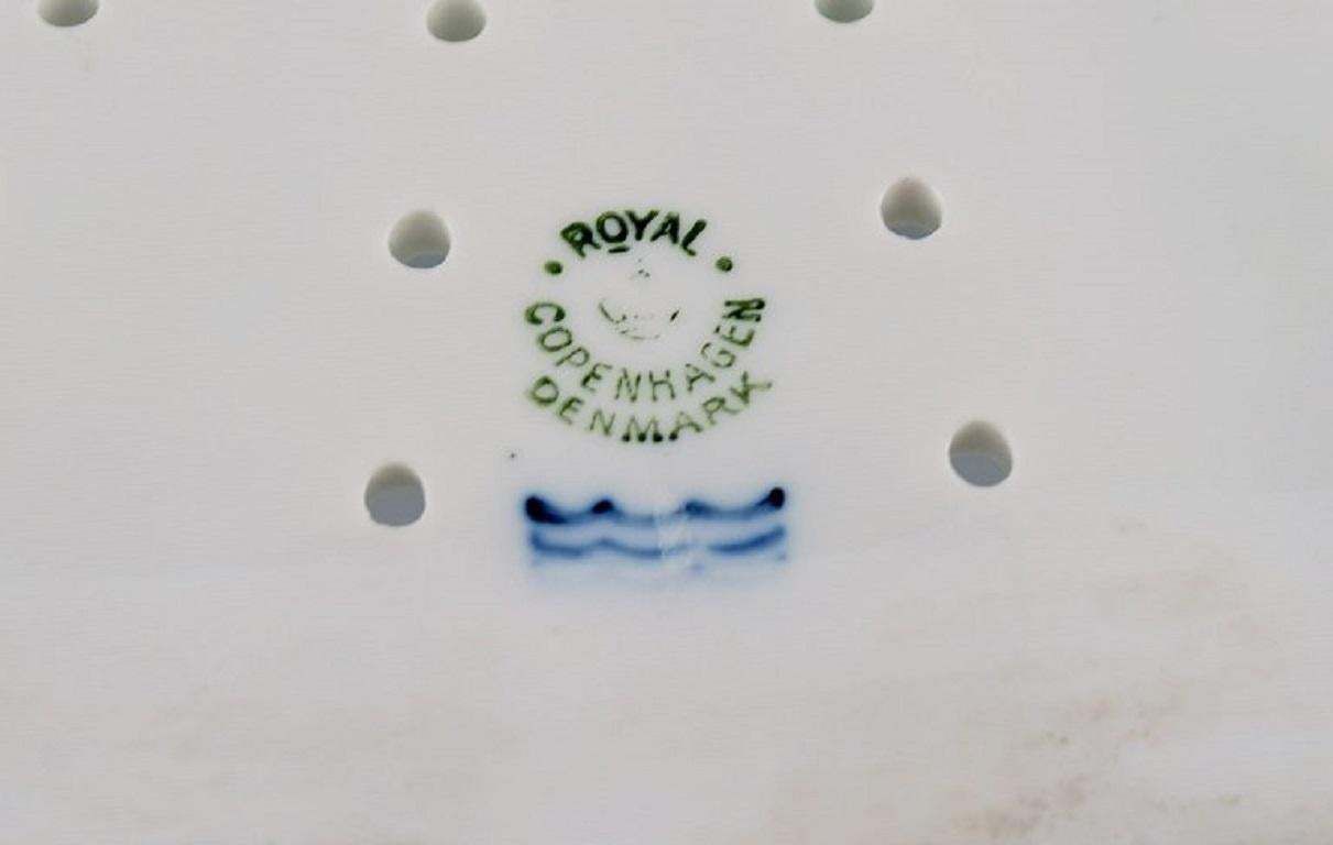 Large Royal Copenhagen Fauna Danica  Flora Danica Porcelain Fish Strainer photo 1921.0