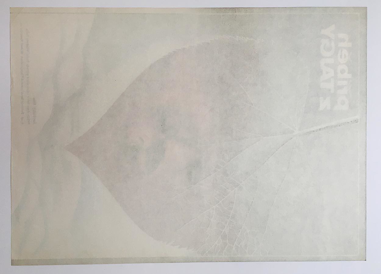 Original Film Poster, A Taiga Story, Martin Dyrynk, 1980, Genuine Czech Vintage Print photo 51.0