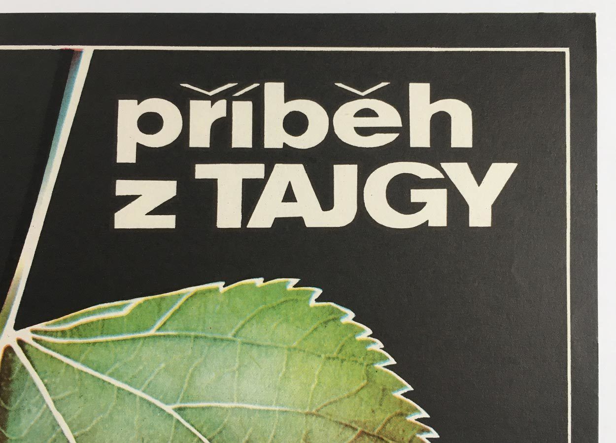 Original Film Poster, A Taiga Story, Martin Dyrynk, 1980, Genuine Czech Vintage Print photo furniture