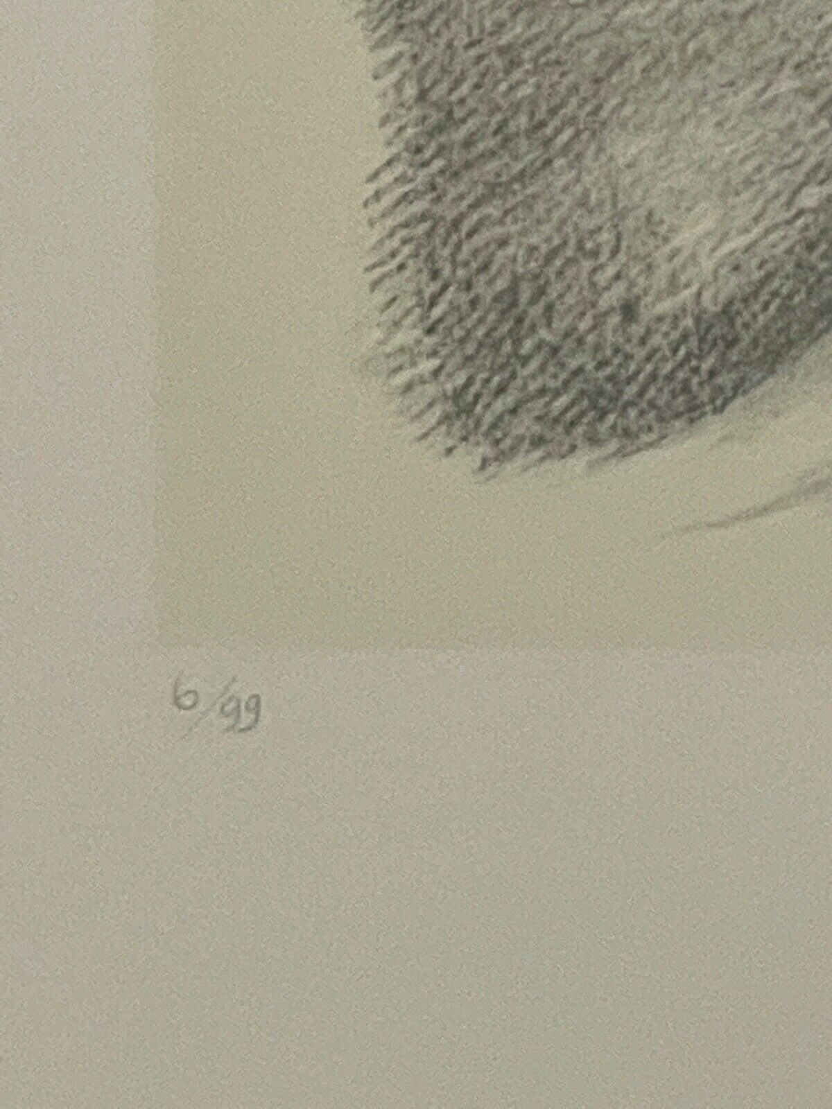 Lithography Domenico Purified To Marco Fittà photo Art