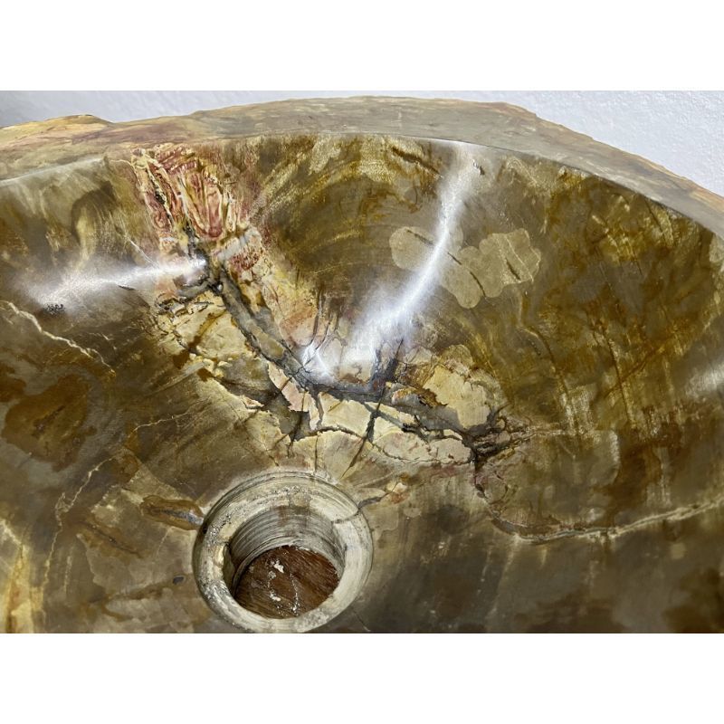 Petrified Wood Sink Brown/ Beige/ Yellow & Red Tones Polished Top Quality photo for sale