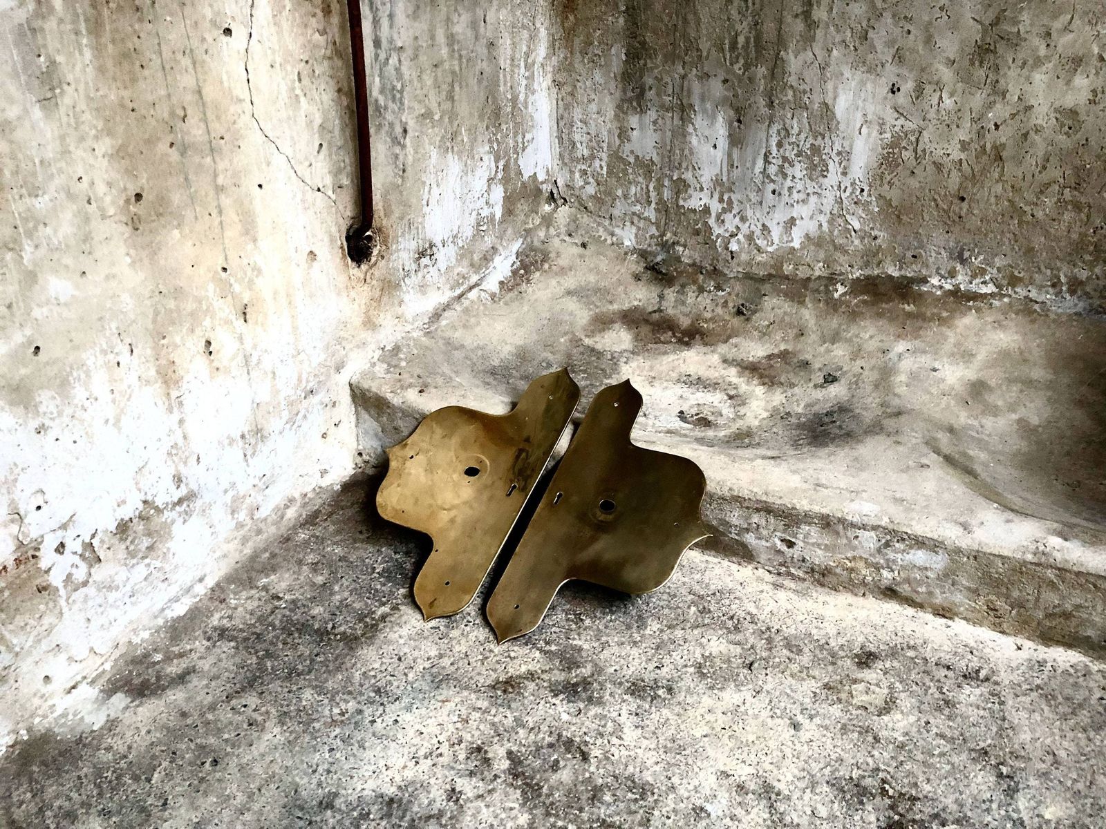 Pair Of Antique Large Church Door Brass Push Finger Handle Plates photo for sale