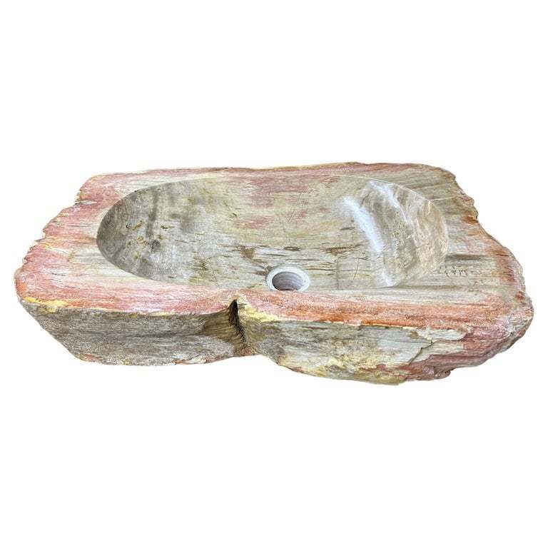 Petrified Wood Sink In Beige/ Grey/ Red & Yellow Tones, Top Quality, Organic Modern, 2021