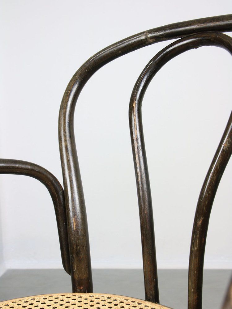 1093.0 Black No. 218 Wide Armchair Chair By Michael Thonet photo