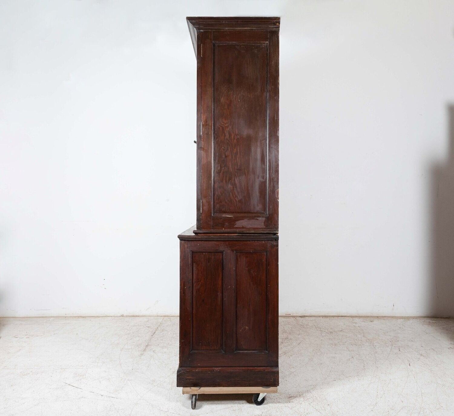 photo furniture Large 19thc English Specimen Display Cabinet  Bookcase