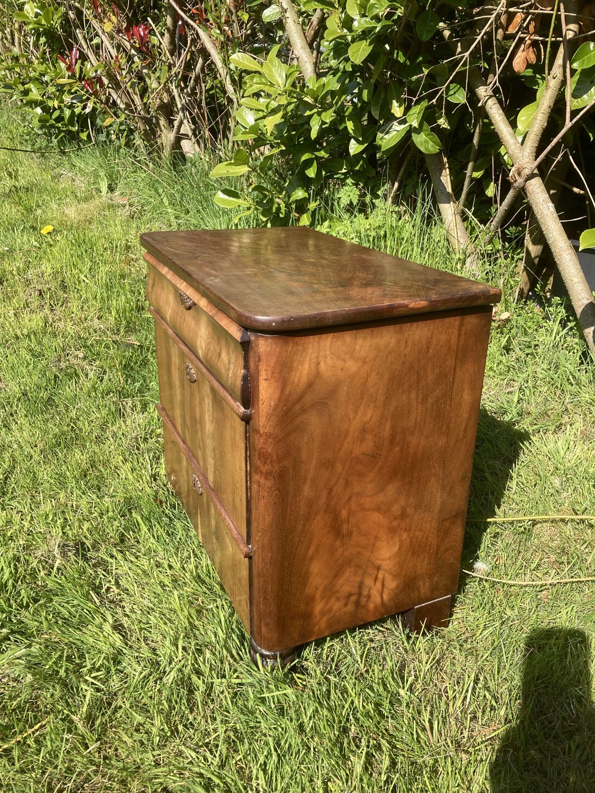 Furniture Walnut Continental Chest Of Drawers photo