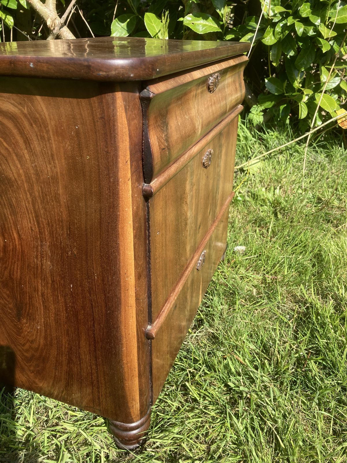 295.0 Walnut Continental Chest Of Drawers photo