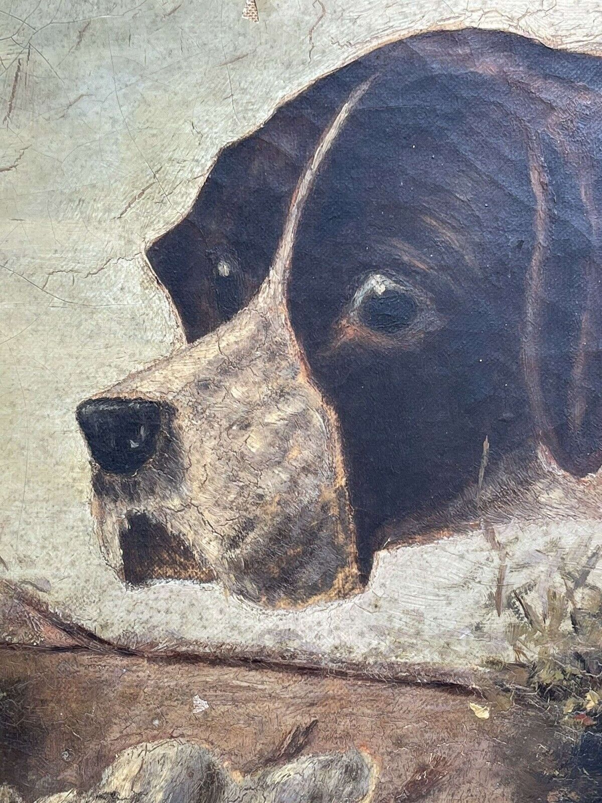 Original Oil Painting After Richard Ansdell “ Pointer And Partridge photo 295.0