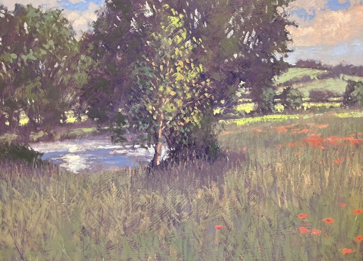 Stream And Poppies Oil On Board Original Landscape Umborne Devon photo Art