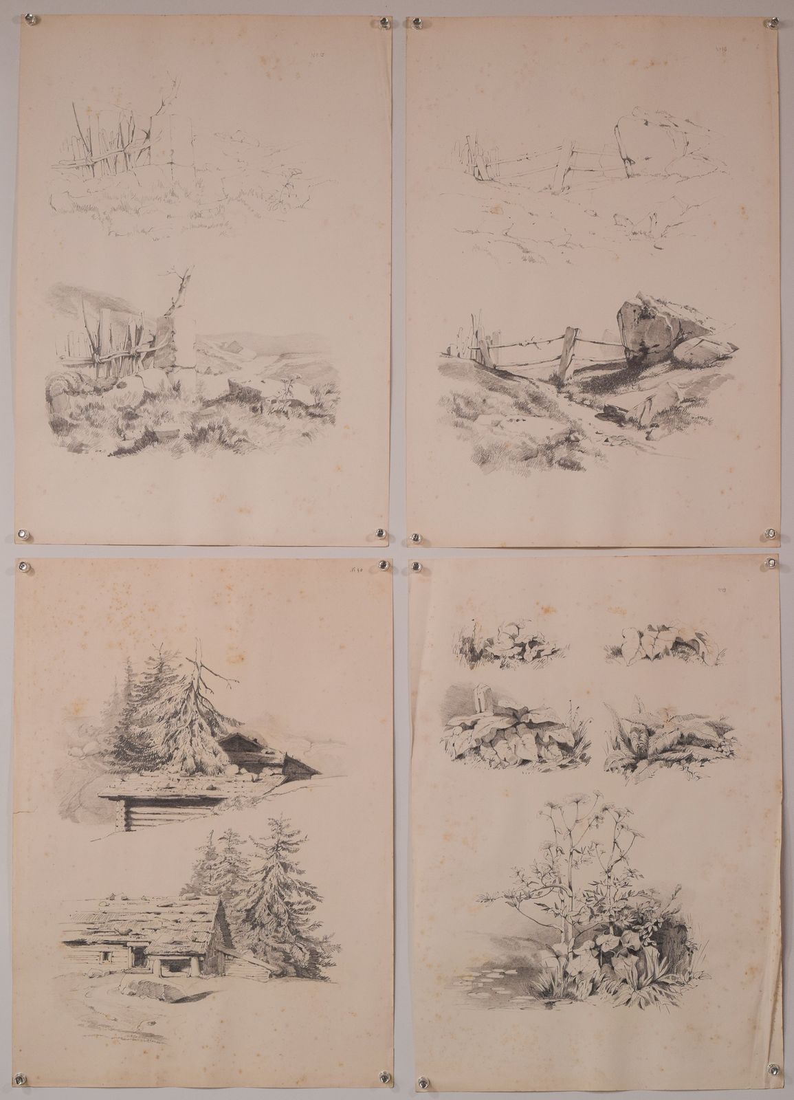 Set Of 11 Pencil Studies Of Nature