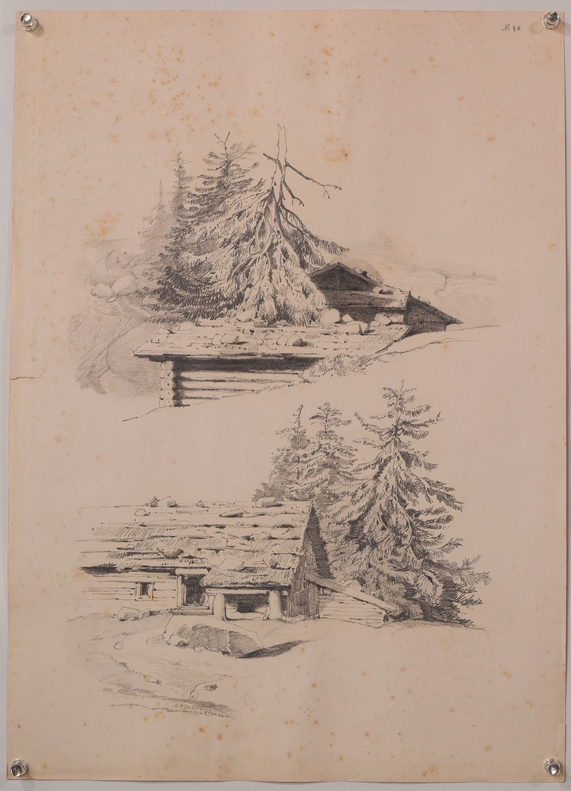 photo for sale Set Of 11 Pencil Studies Of Nature